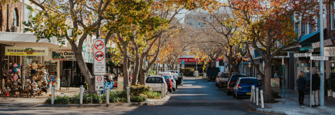 Free Parking and Paid Parking