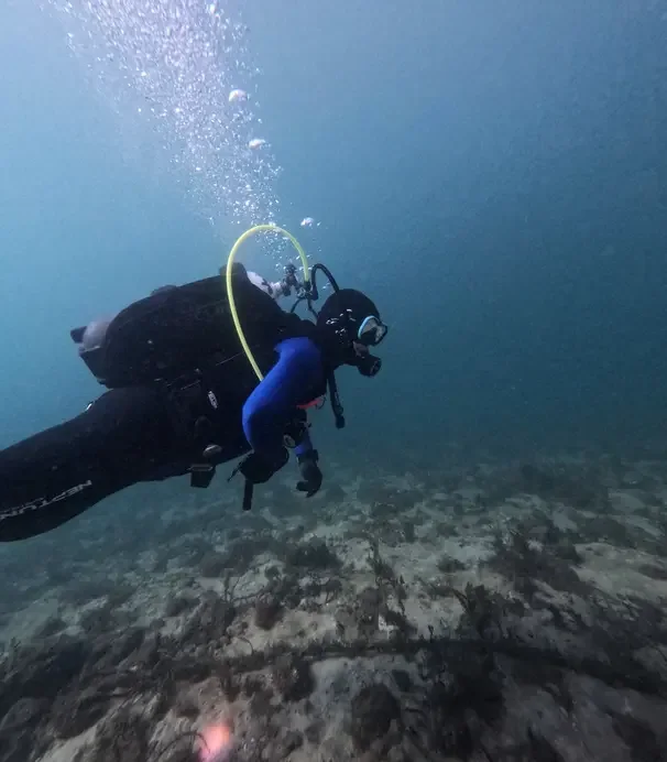 Scuba diver exploring an underwater seabed